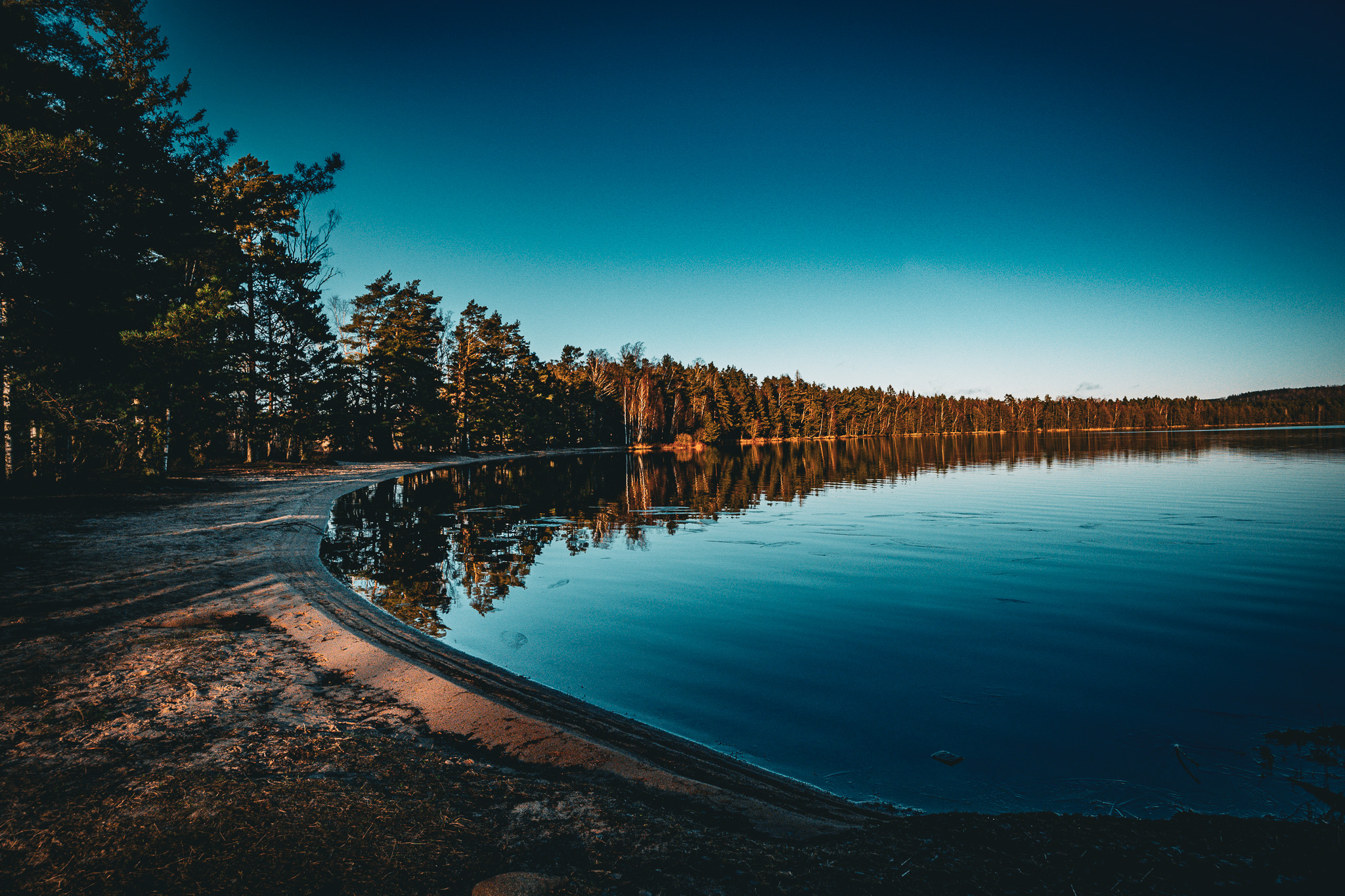 Crazy Moose Photography - Profesionalna kamera i objektiv u studiju